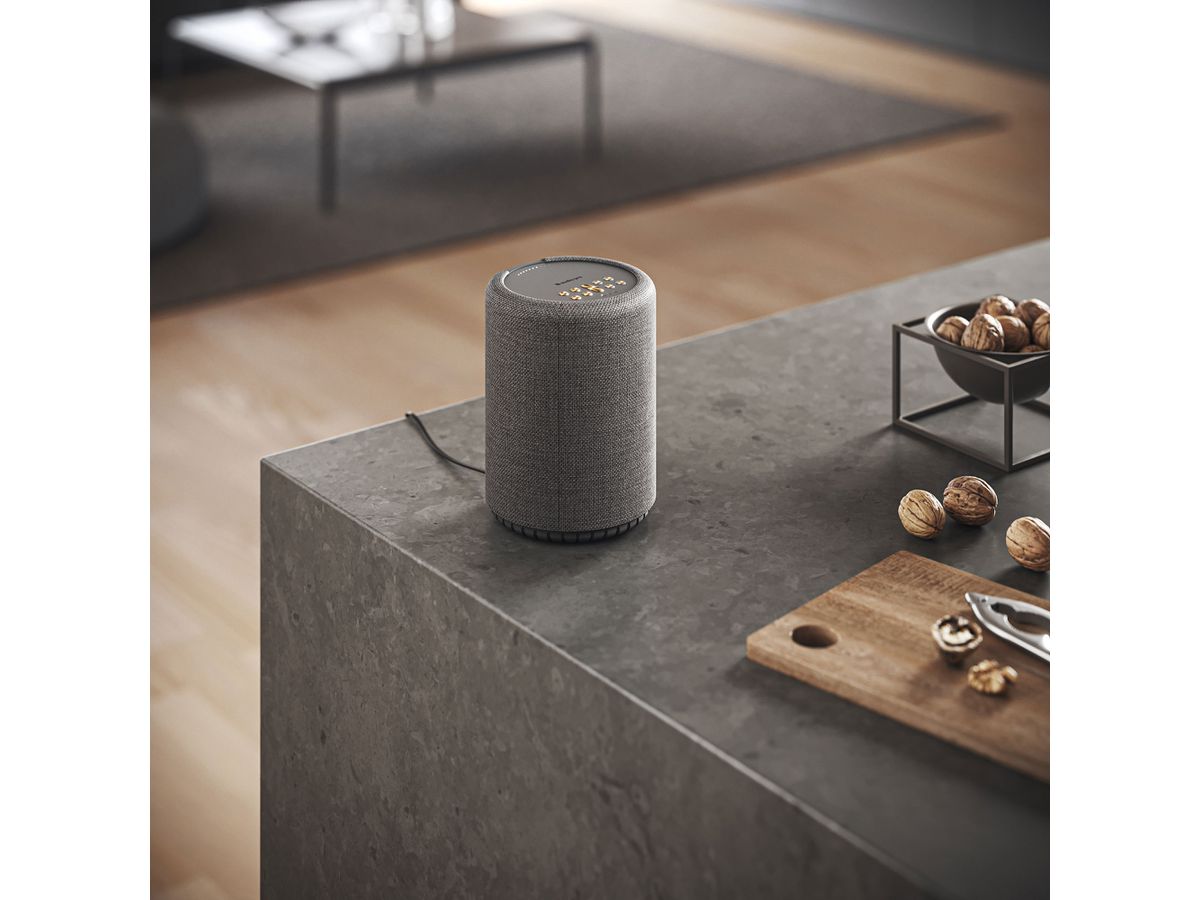 AUDIO PRO Speaker A10 MkII W 15380 Dark Grey (7330117153805)