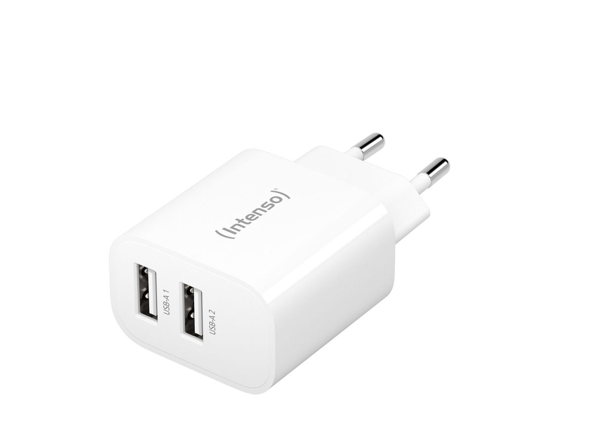 INTENSO Power Adapter W24AA Charger 7802412 24W, 2x USB-A, white (4034303033256)
