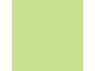 PAPYRUS Rainbow Paper FSC A4 88042608 80g, vert vif 500 feuilles (7318761039294)