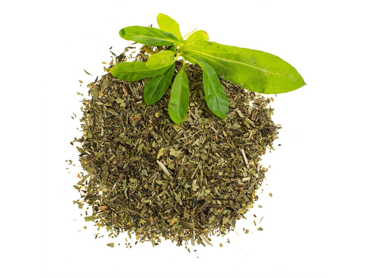 GLOREX Plantain lancéolé 4g 61601106 vert (7610877588704)