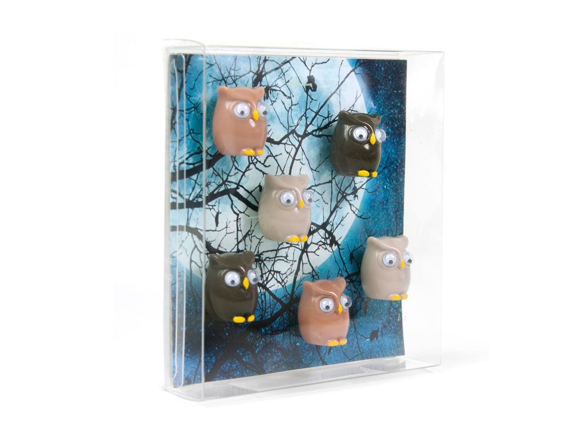 TRENDFORM Aimants OWL FW3542 set de 6 assorti (7640161862616)