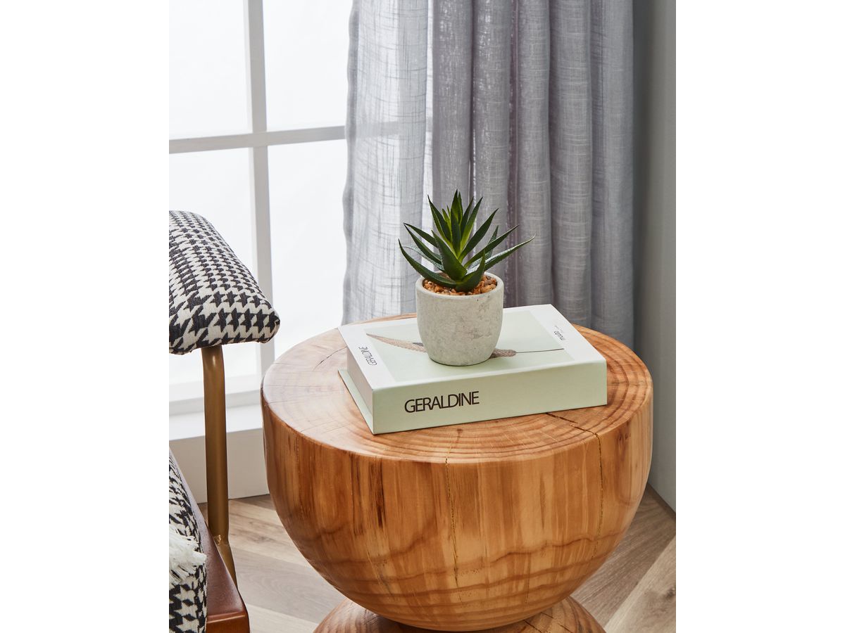 EGLO Plante artificielle 15cm 428012 vert, en pot (9008606253319)