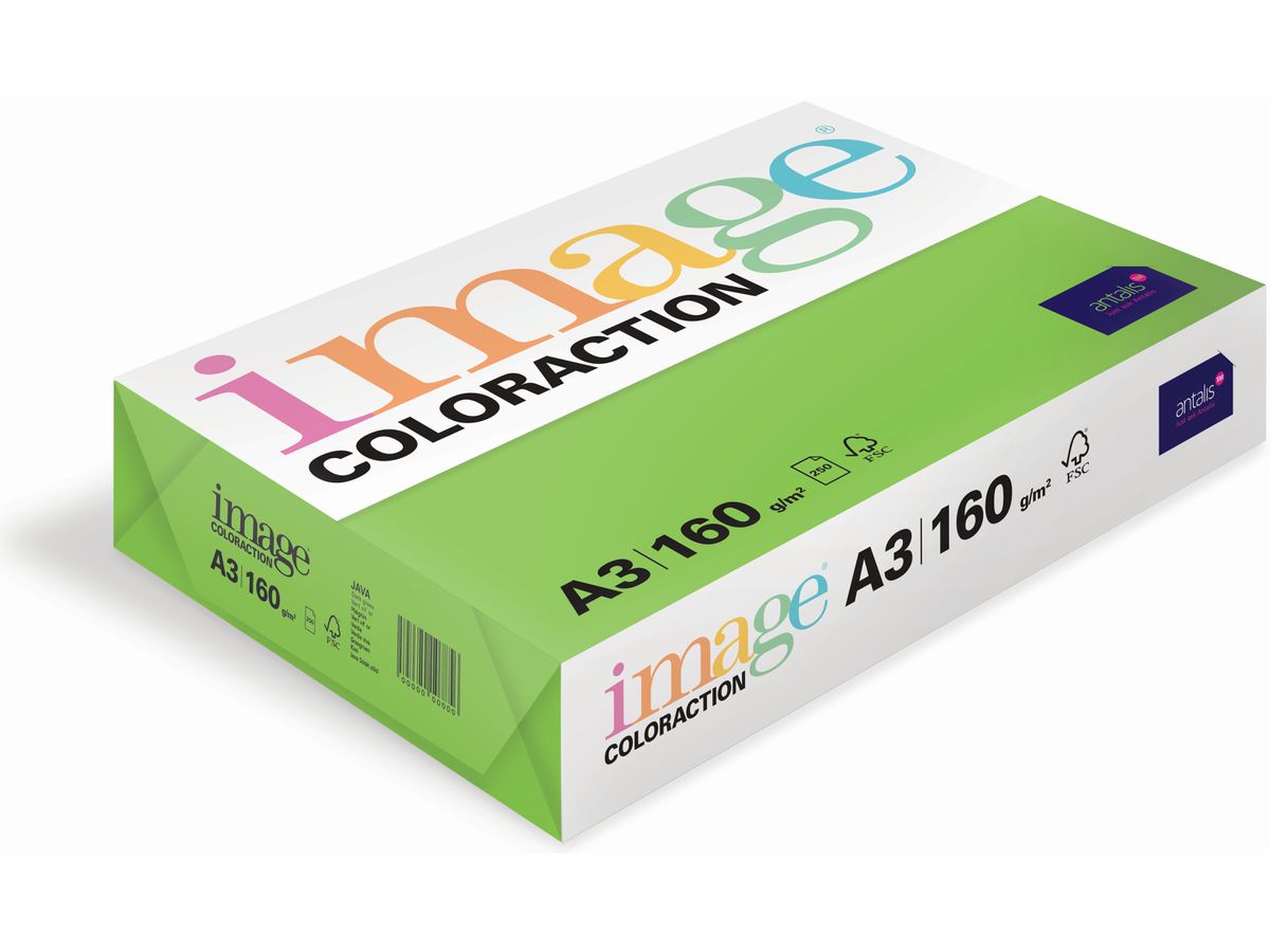 IMAGE COLORACTION Copying Paper Java A3 285160 160g, vert vif 250 feuilles (7611115004499)