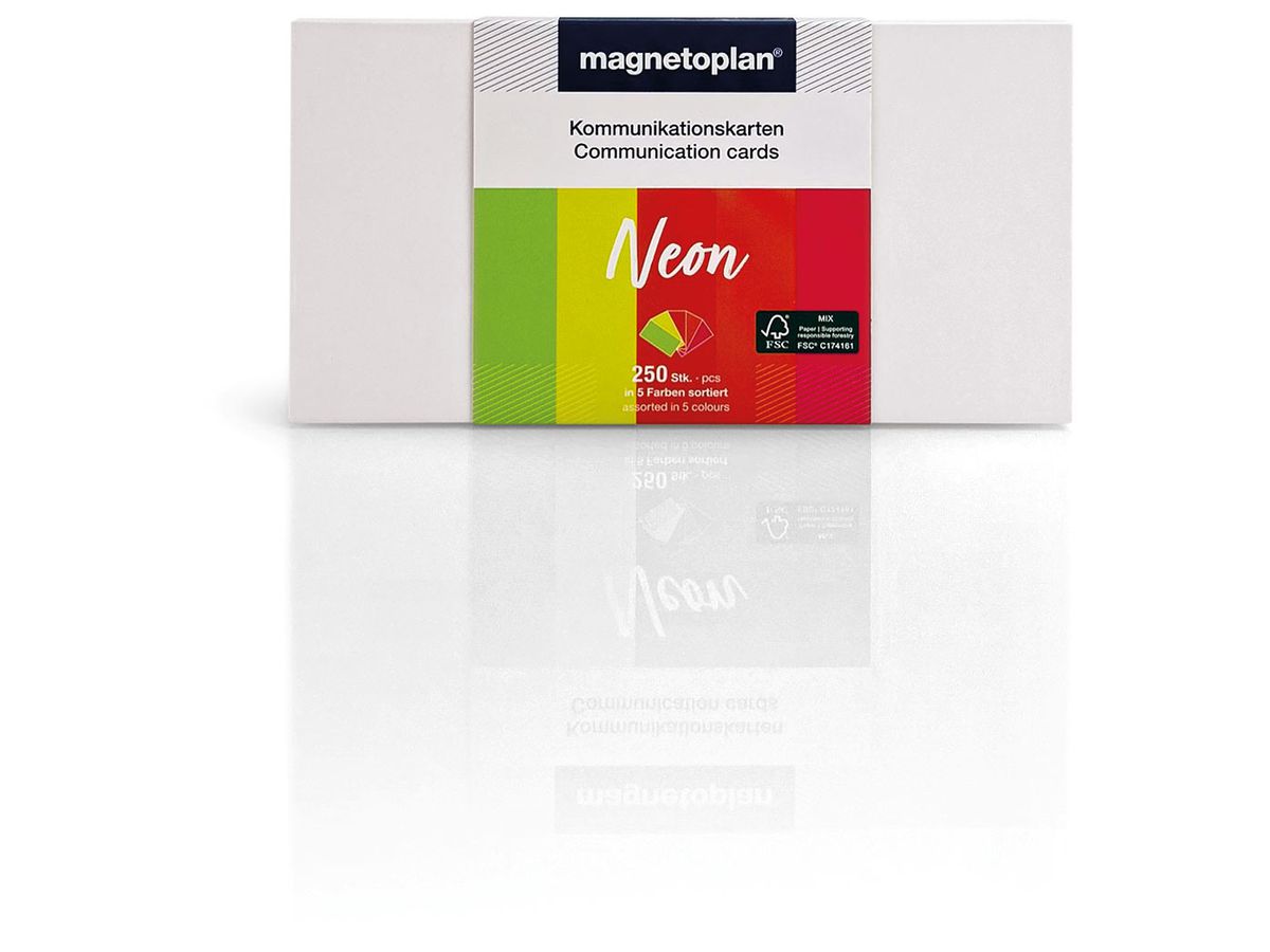 MAGNETOPLAN Schede comunicazione 20x10cm 112501560 Set Neon, ass. 250pz. (4013695067001)