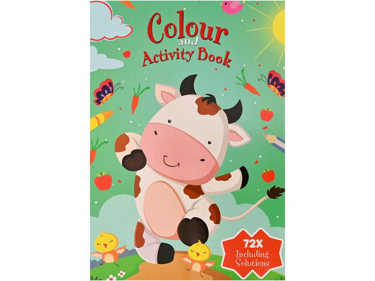 ROOST Livre d'activités dessin A4 B903 assortis (8711851090301)