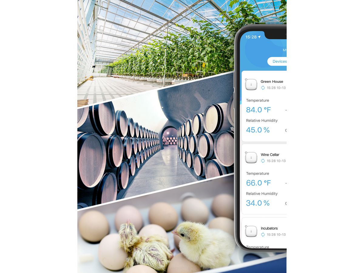 GOVEE WiFi thermometer hygrometer H5179001 bianco (6974316990024)