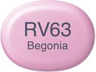 COPIC Marker Sketch 21075359 RV63 - Begonia (4511338052112)