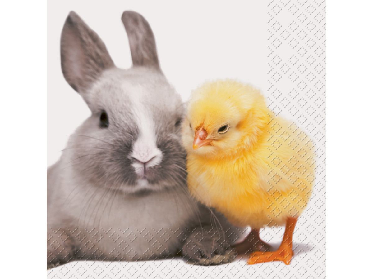 STEWO Serviettes 33x33cm 2572715010 sujet 20 pcs. (7630021141234)