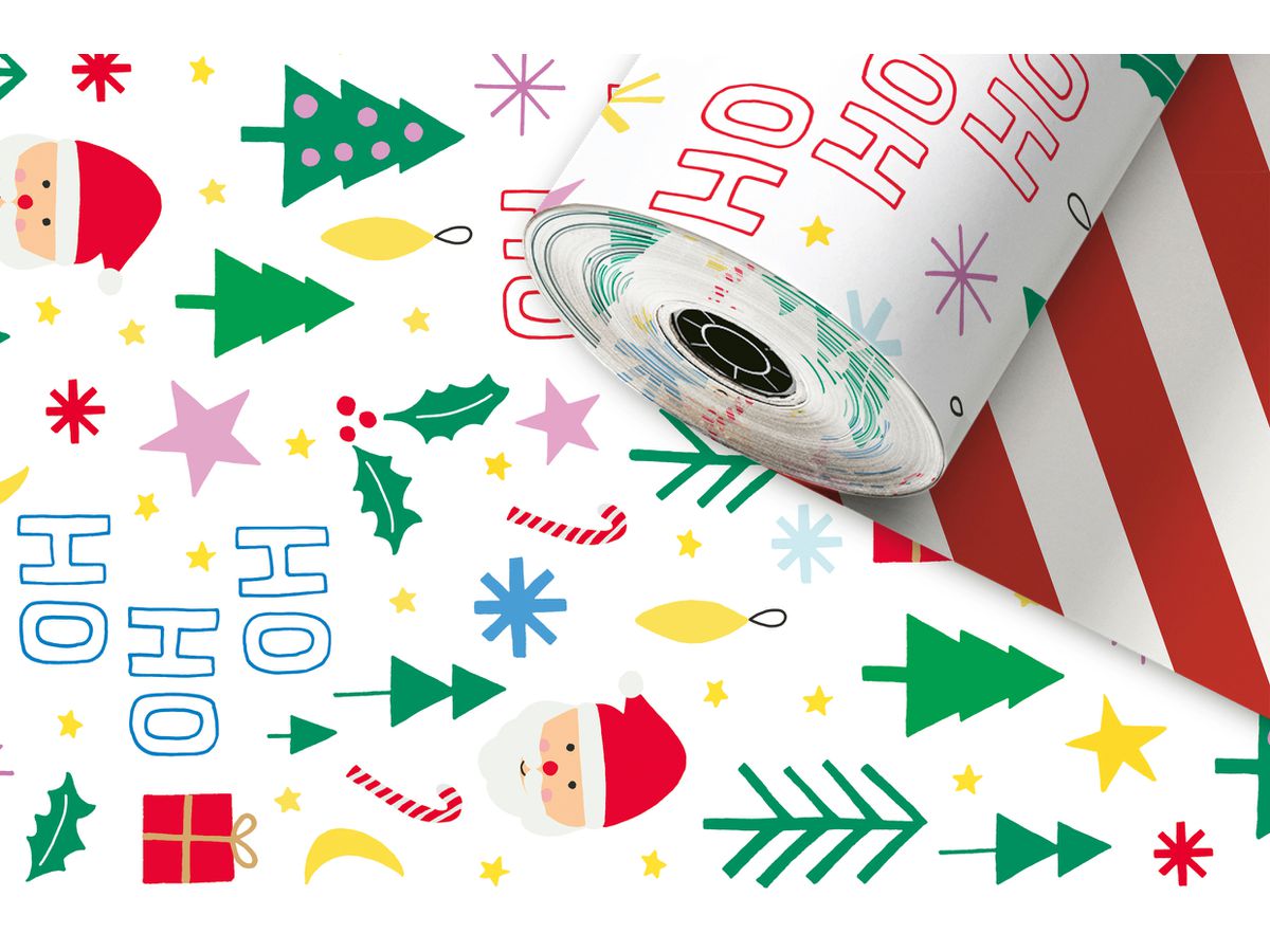 STEWO Apparecchio rotoli di carta 2522523147 Duo Roni 0.3x250m (7630050877326)