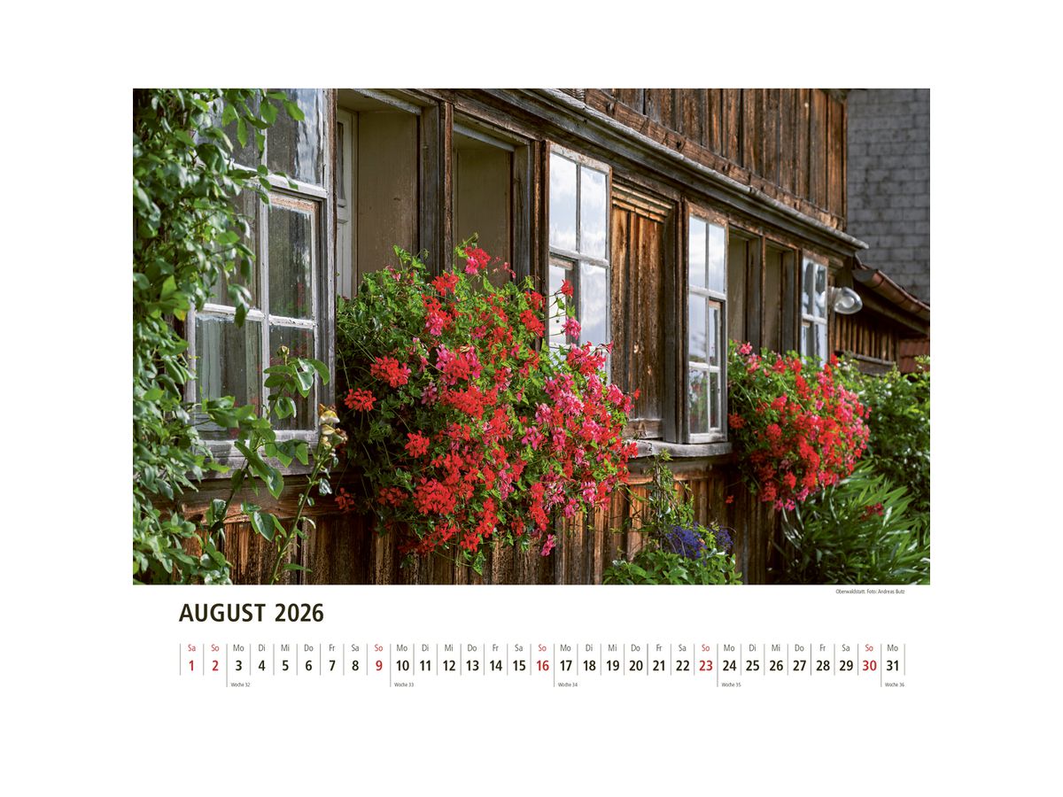 APPENZELLER Bildkalender 2026 9783858829047 Appenzeller DE 40x31cm (9783858829047)