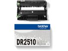 BROTHER Drum DR-2510 HL-L2400/L2445 15'000 pagine (4977766830089)