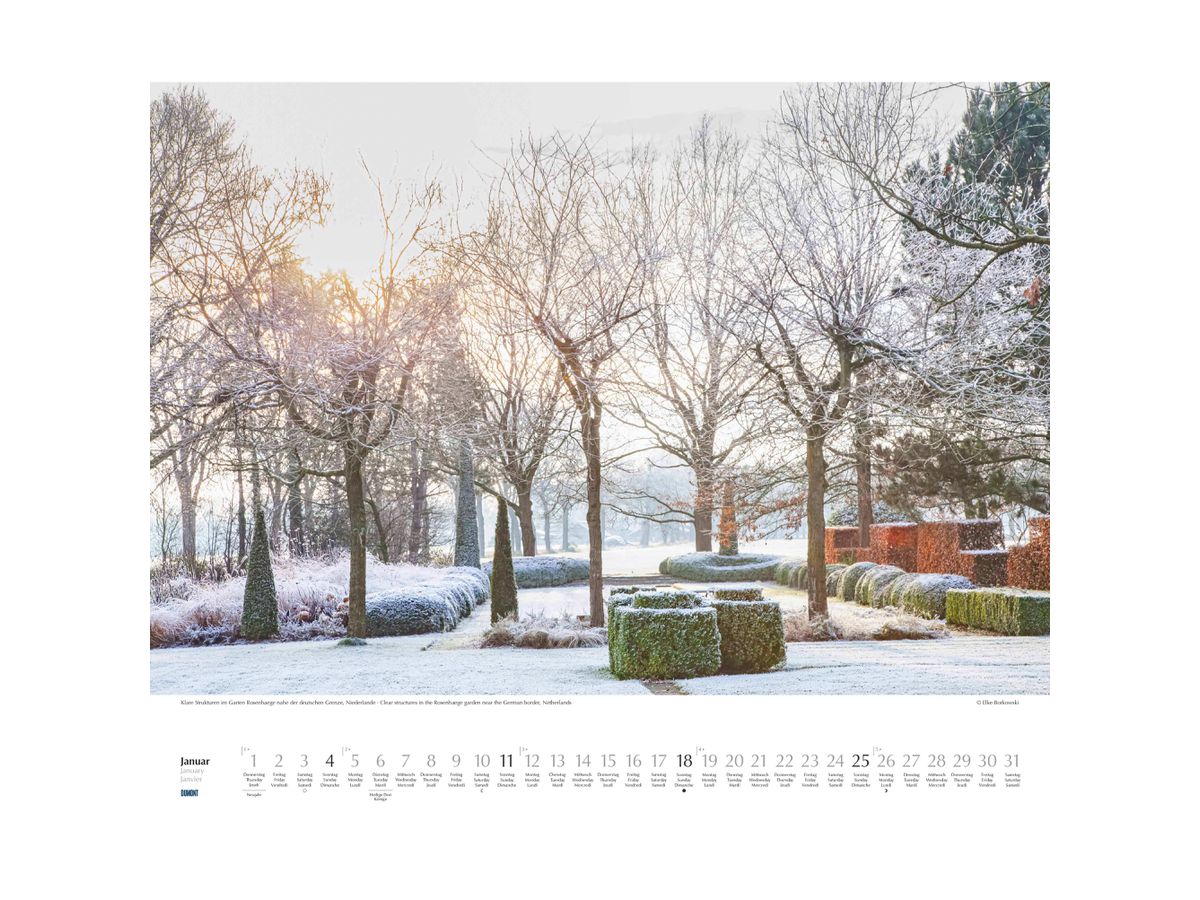 DUMONT Bildkalender 2026 260375 Schöne Gärten ML 52x42.5cm (4069095003750)