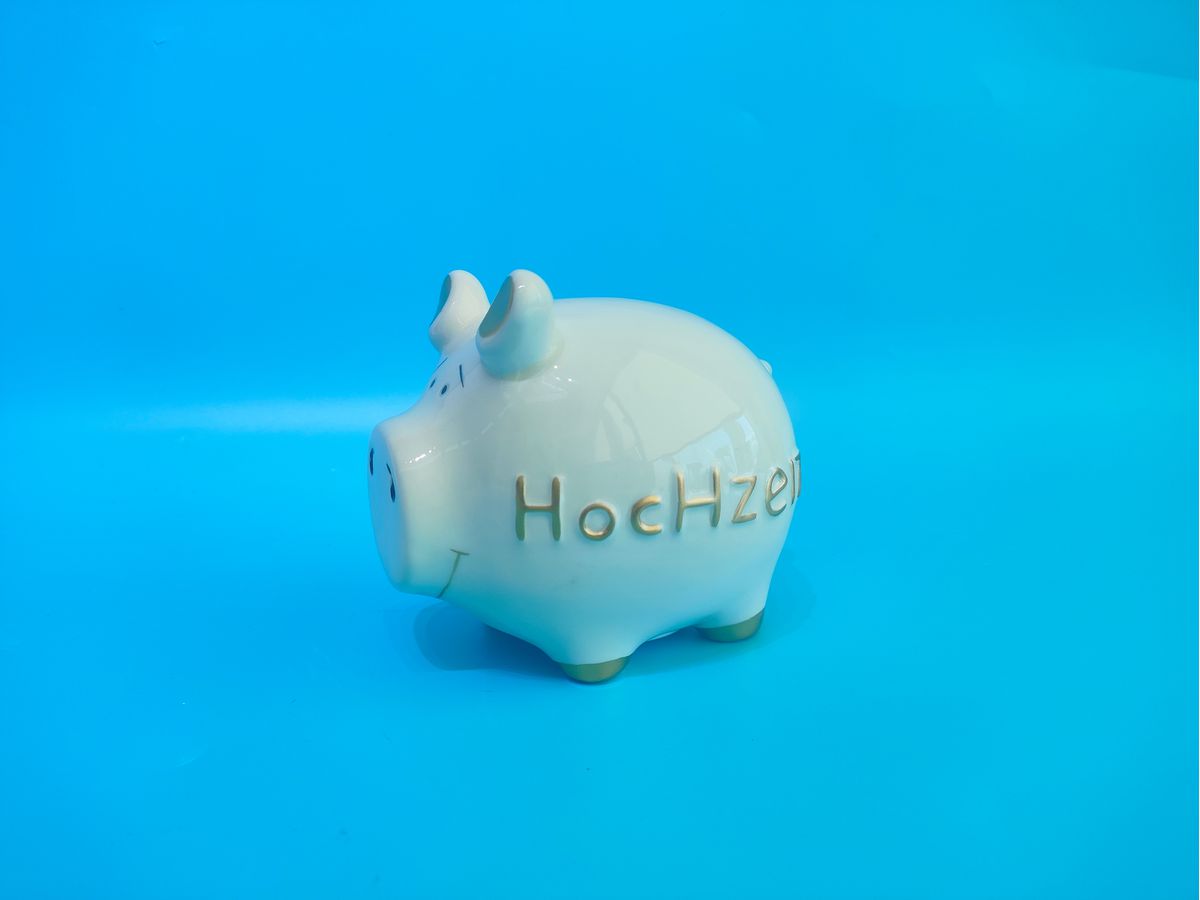 ROOST Tirelire 11.5x8.5x10.5cm TG240704 Cochon mariage (7613532080902)