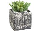 EGLO Plante artificielle 12cm 428007 vert, en pot (9008606253272)
