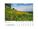 CALENDARIA Bildkalender 2026 9783036205083 Swiss Panorama ML 40x31cm (9783036205083)