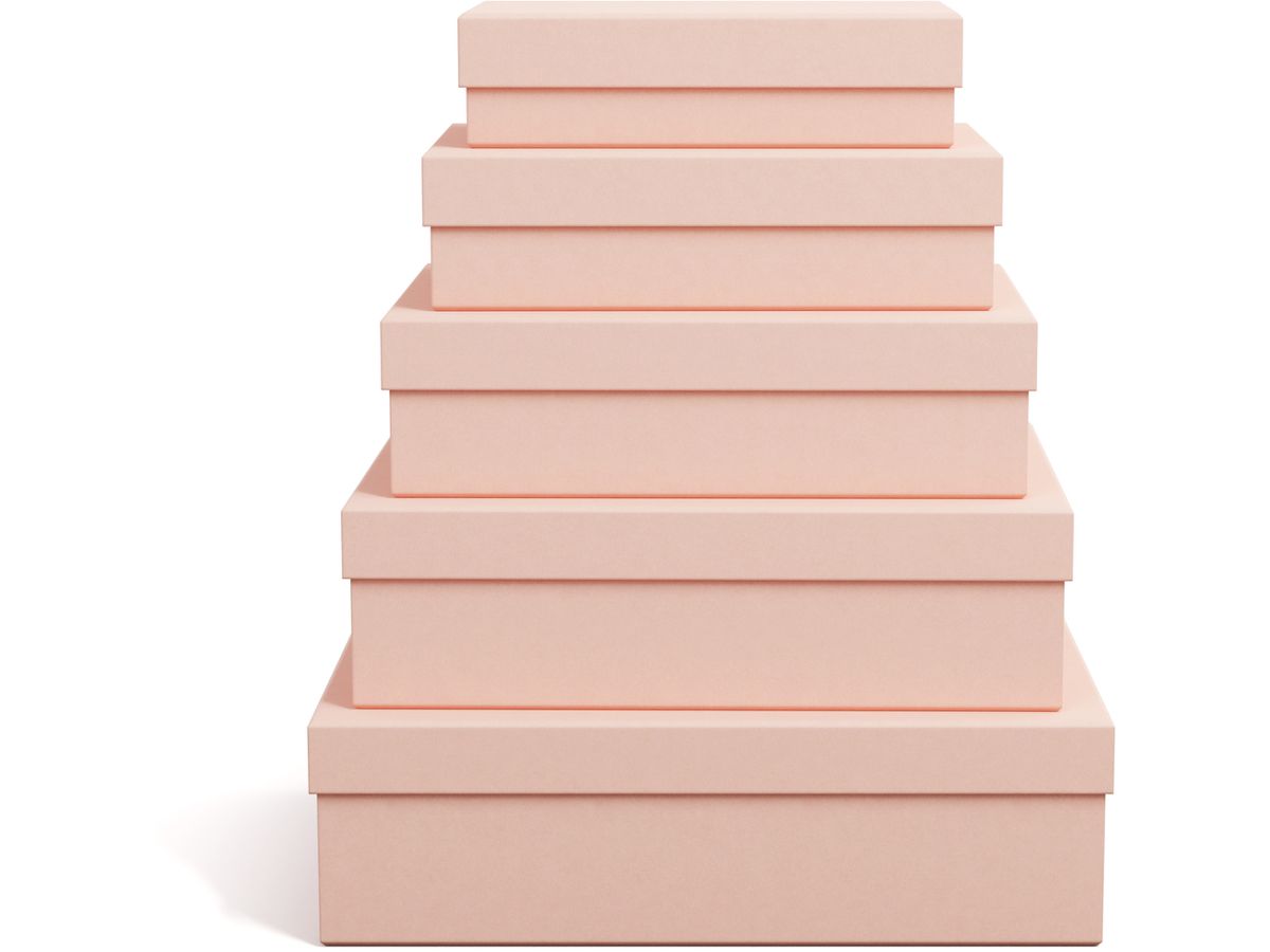 BIGSO BOX OF SWEDEN Scatola portaoggetti Cindy 325552133 dusty pink 5er-Set (7330061084057)