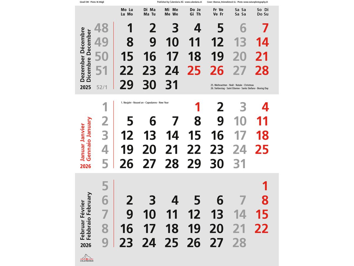 CALENDARIA Planer 2026 9783036205328 Swiss 23x31.5cm (9783036205328)