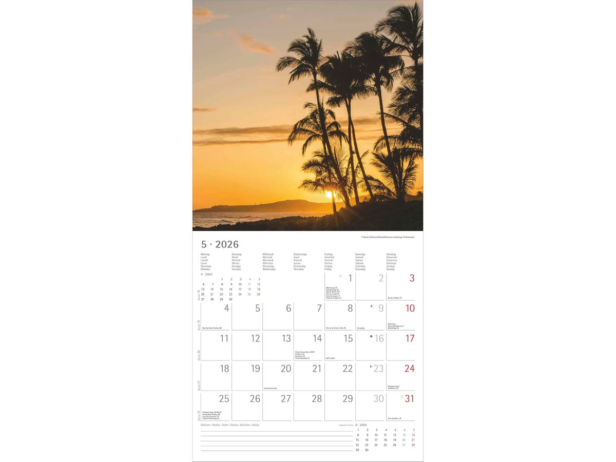 ALPHA EDITION Bildkalender 2026 160300 Summer Dreams ML 30x30cm (4069095003002)