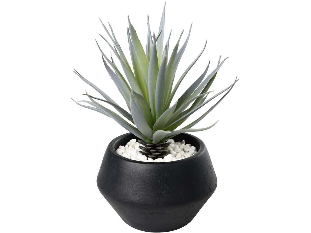 EGLO Plante artificielle 20cm 428496 vert, en pot (9008606367955)