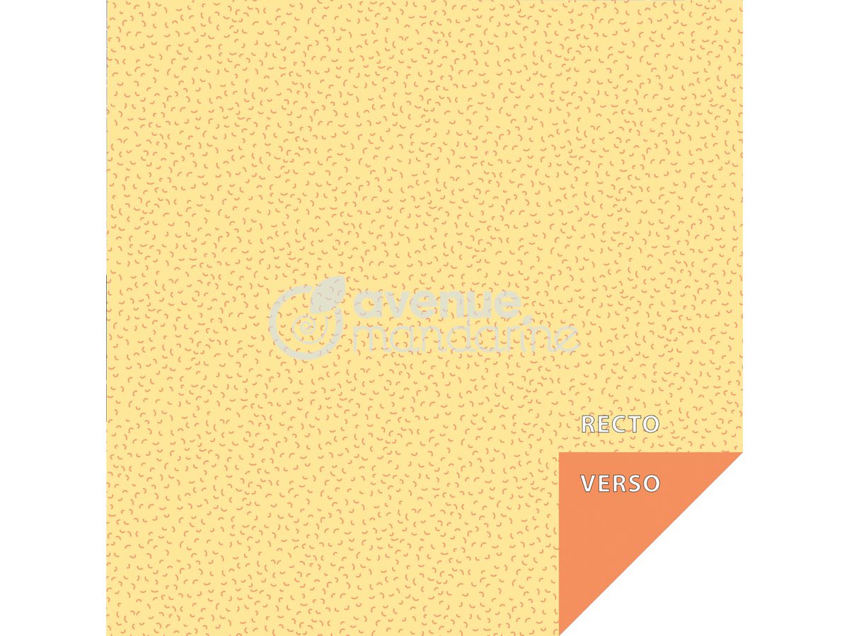 MANDARINE Fogli Origami 20x20cm OR513C Pelliccia 70g 60 fogli (3609510575137)