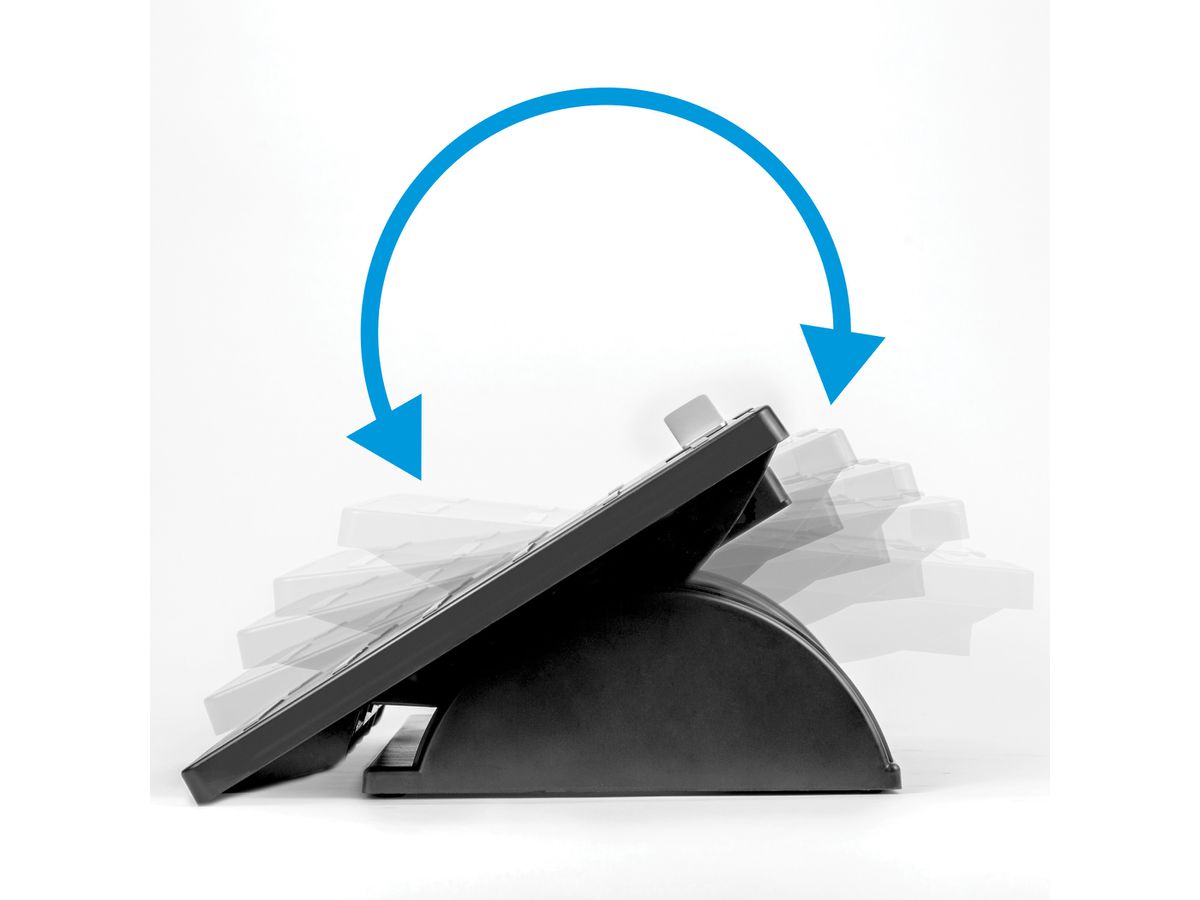 FELLOWES Repose-pieds 8035001 (0043859487219)