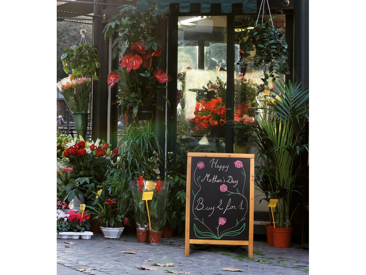 SECURIT Gehwegtafel m. Holzrahmen SBDW-TE-85 Holz 85x54.5x44cm (8718226495686)