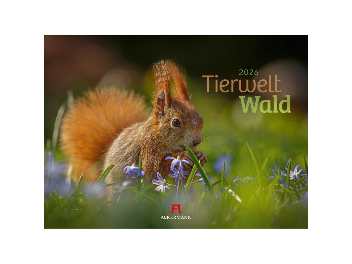 ACKERMANN Bildkalender 2026 2682 Tierwelt Wald D 45x33cm (9783838426822)