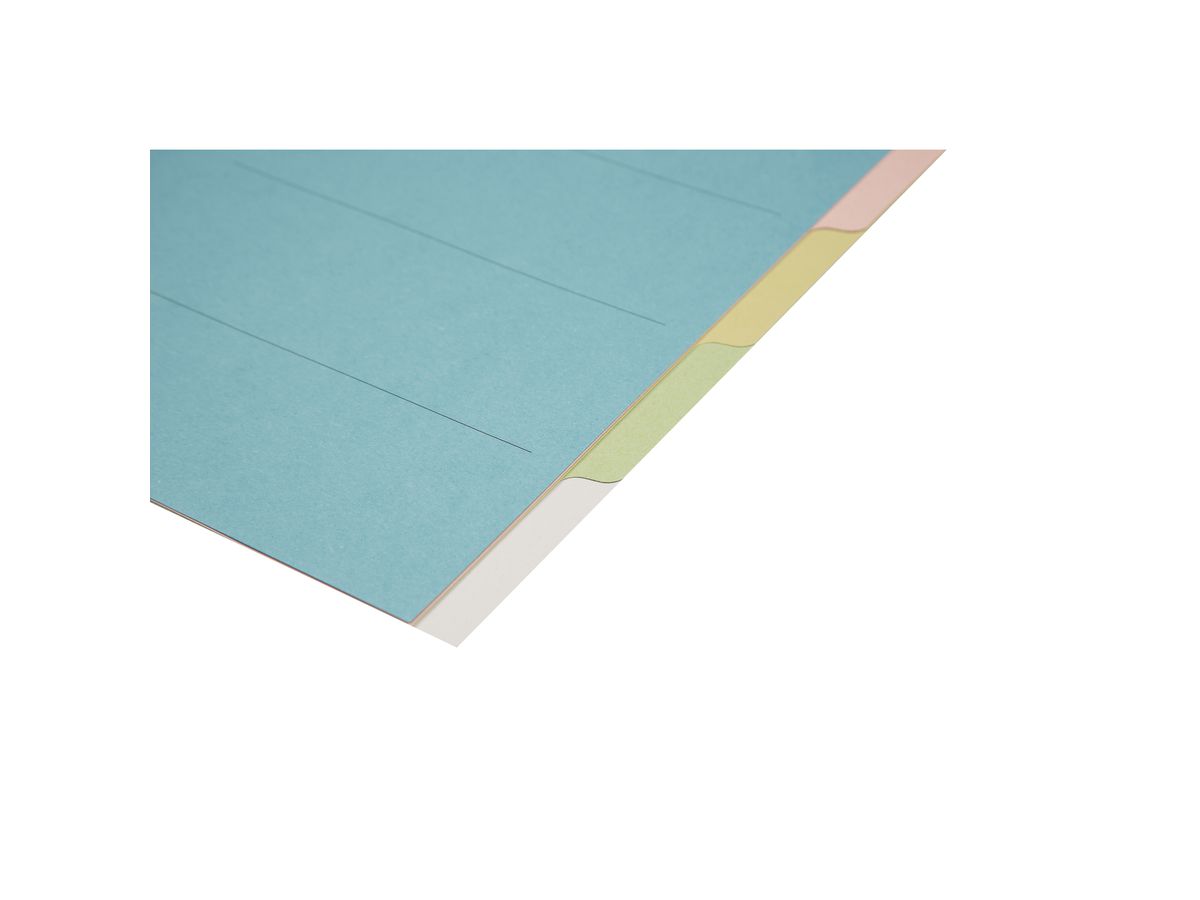 BIELLA Kartonregister A4 46140500U bunt 5-teilig (7611365257058)