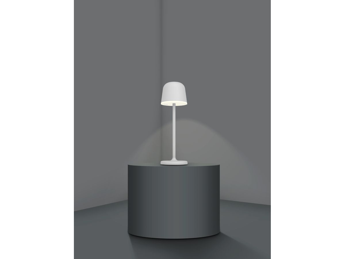 EGLO Lampada da tavolo Mannera 900458 grigio, batteria (9008606243976)