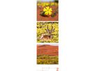 ACKERMANN Calendario 2026 2656 Nature ML 33x100cm (9783838426563)