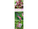 ACKERMANN Calendario 2026 2656 Nature ML 33x100cm (9783838426563)