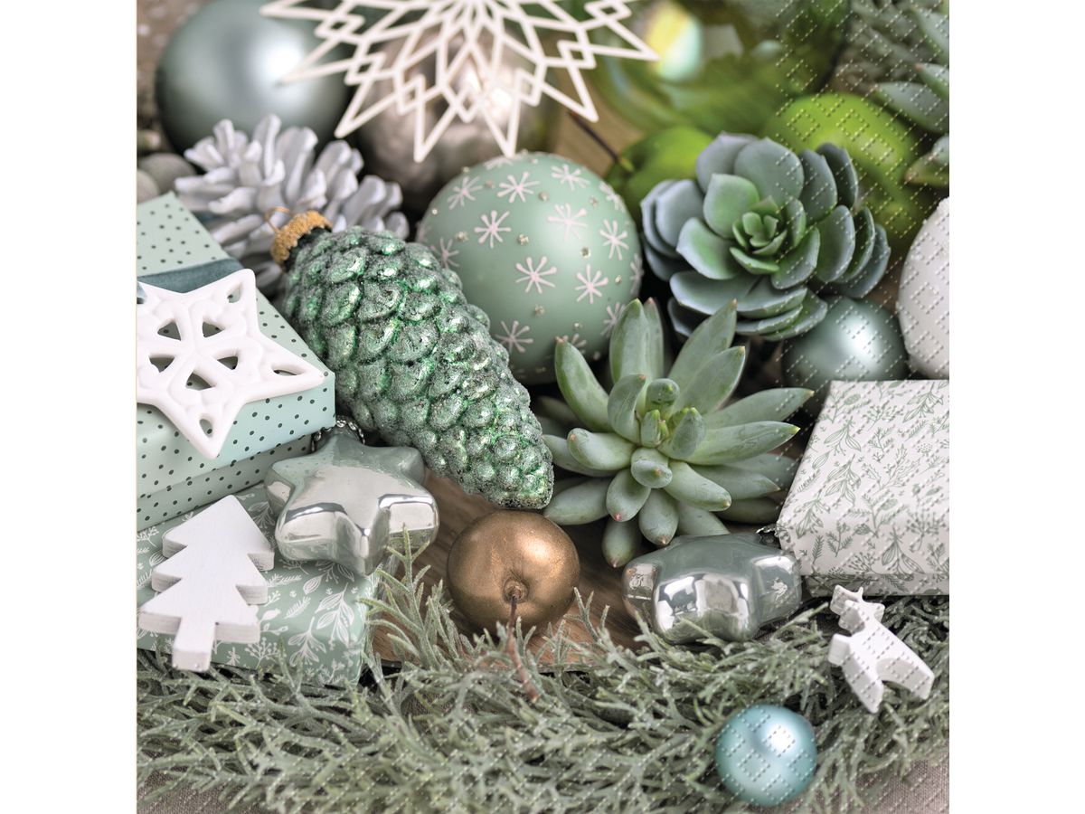 STEWO Salviete Torello 33x33cm 2572562246 verde chiaro, FSC Mix 20pz. (7630050839638)