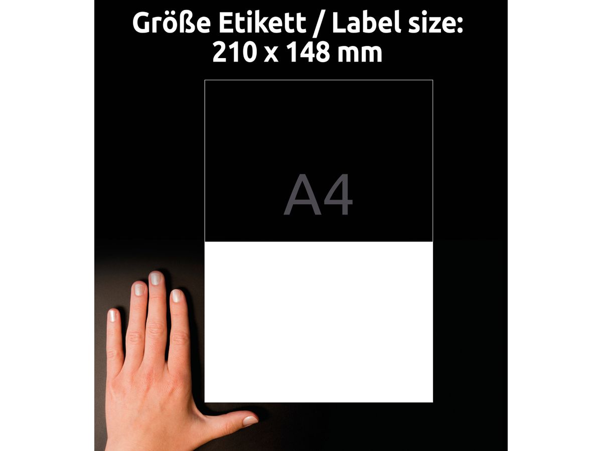 AVERY ZWECKFORM Etiquettes 148x210mm LR3655-10 blanc, perm. 10 flls./2 pcs. (4004182336557)