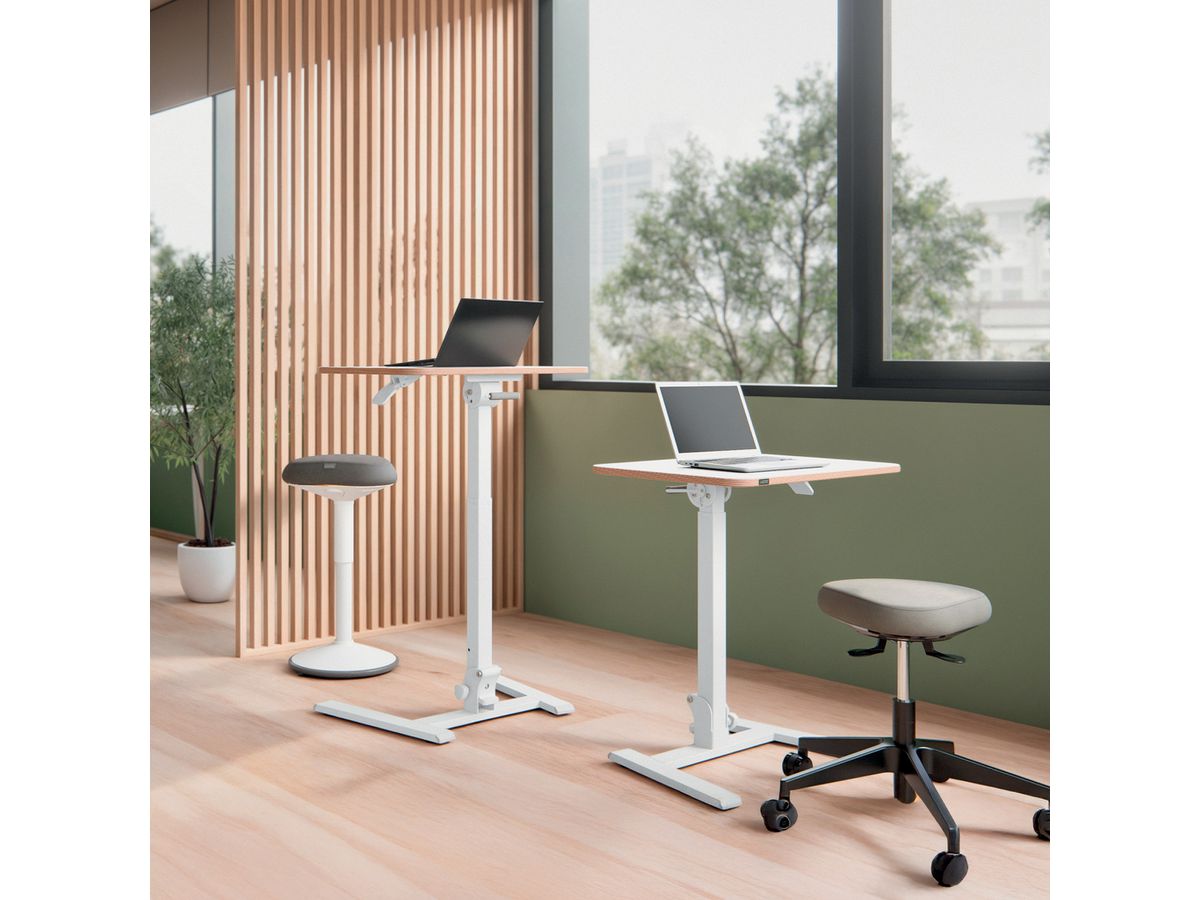 LEITZ Sitz-/Steh-Schreibtisch Ergo 6588-00-01 Weiss, Höhenverstellbar (4002432143054)