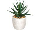 EGLO Plante artificielle 15cm 428012 vert, en pot (9008606253319)