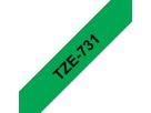 PTOUCH Nastro, plastific. nero/verde TZe-731 PT-1280VP 12 mm (4977766691352)