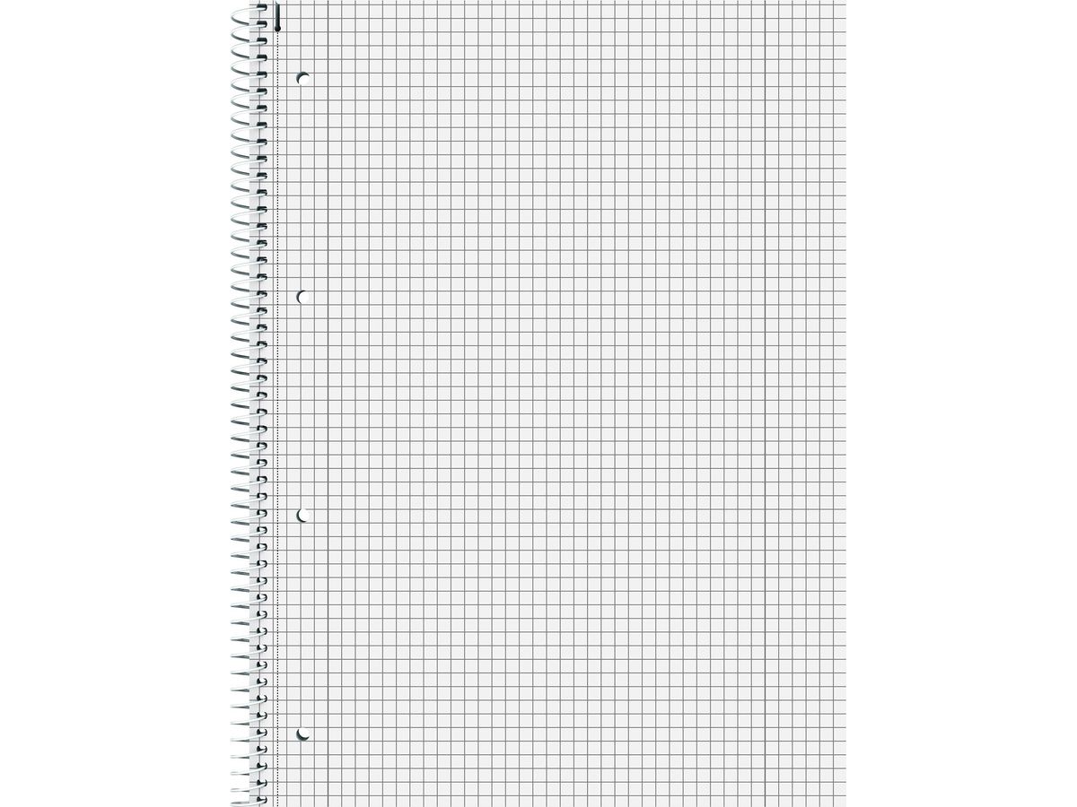 BRUNNEN Cahier à spirale Premium A4 106732895 5mm kariert ass. 80 Blatt (4003273640443)