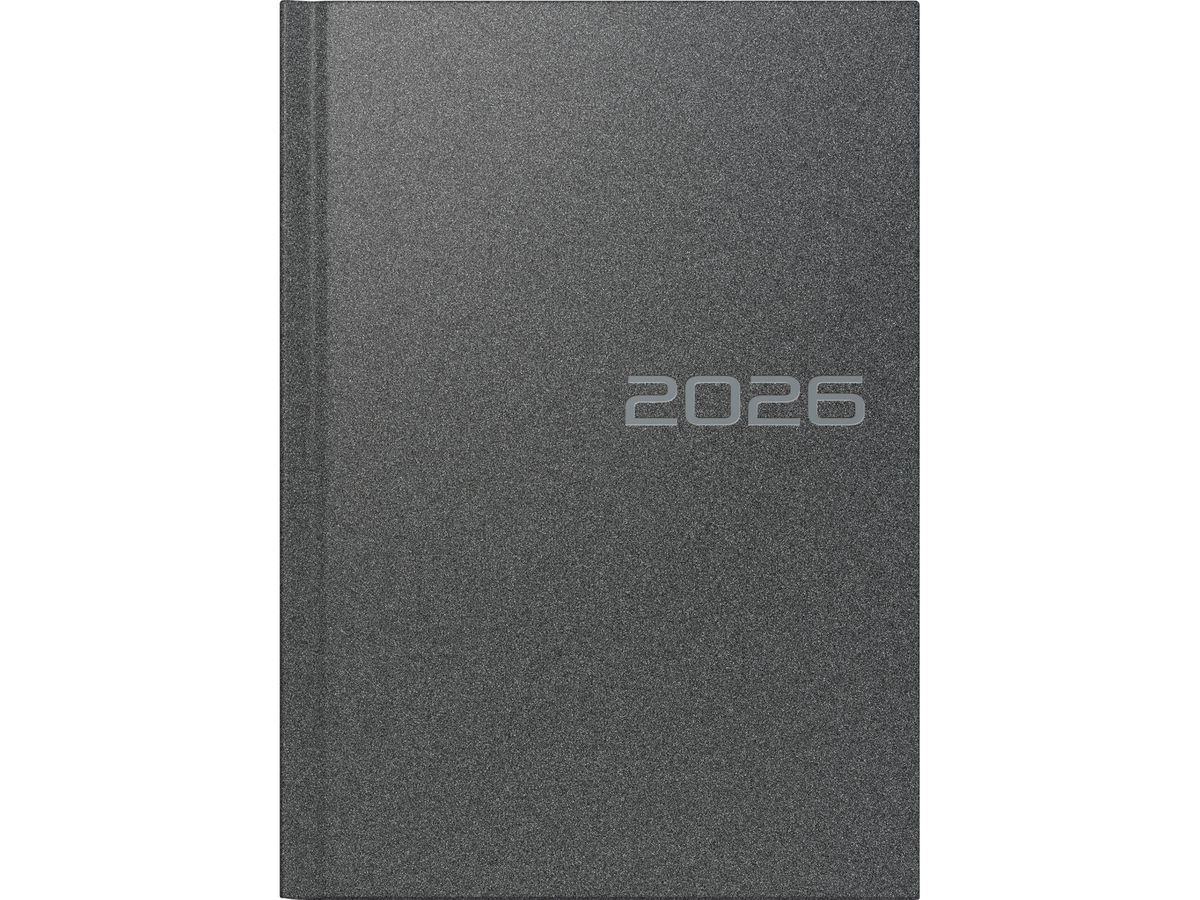 RIDOIDE Mentor Reflection 2026 7026013906.26 1G/1P grigio ML 14.8x20.8cm (4003273790766)