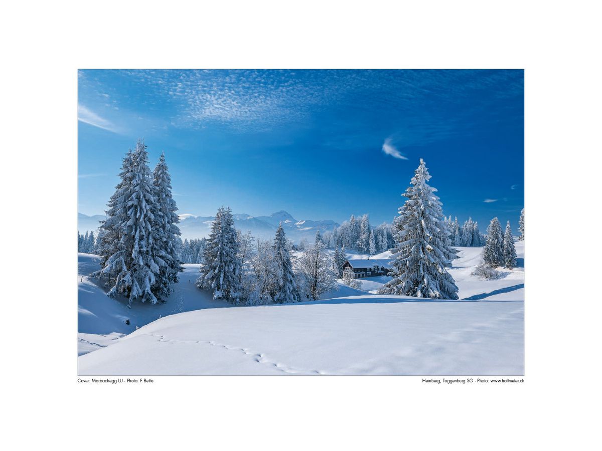 CALENDARIA Bildkalender 2026 9783036205144 Swiss Mix ML 31.5x23cm (9783036205144)