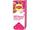 LIPTON Thé aux fruits des bois 4071280 25 Sachets (8720608021338)