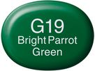COPIC Marker Sketch 21075213 G19 - Bright Parrot Green (4511338007129)