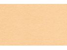URSUS Carton photo A3 1134616 300g, apricot 100 feuilles (4008525176688)