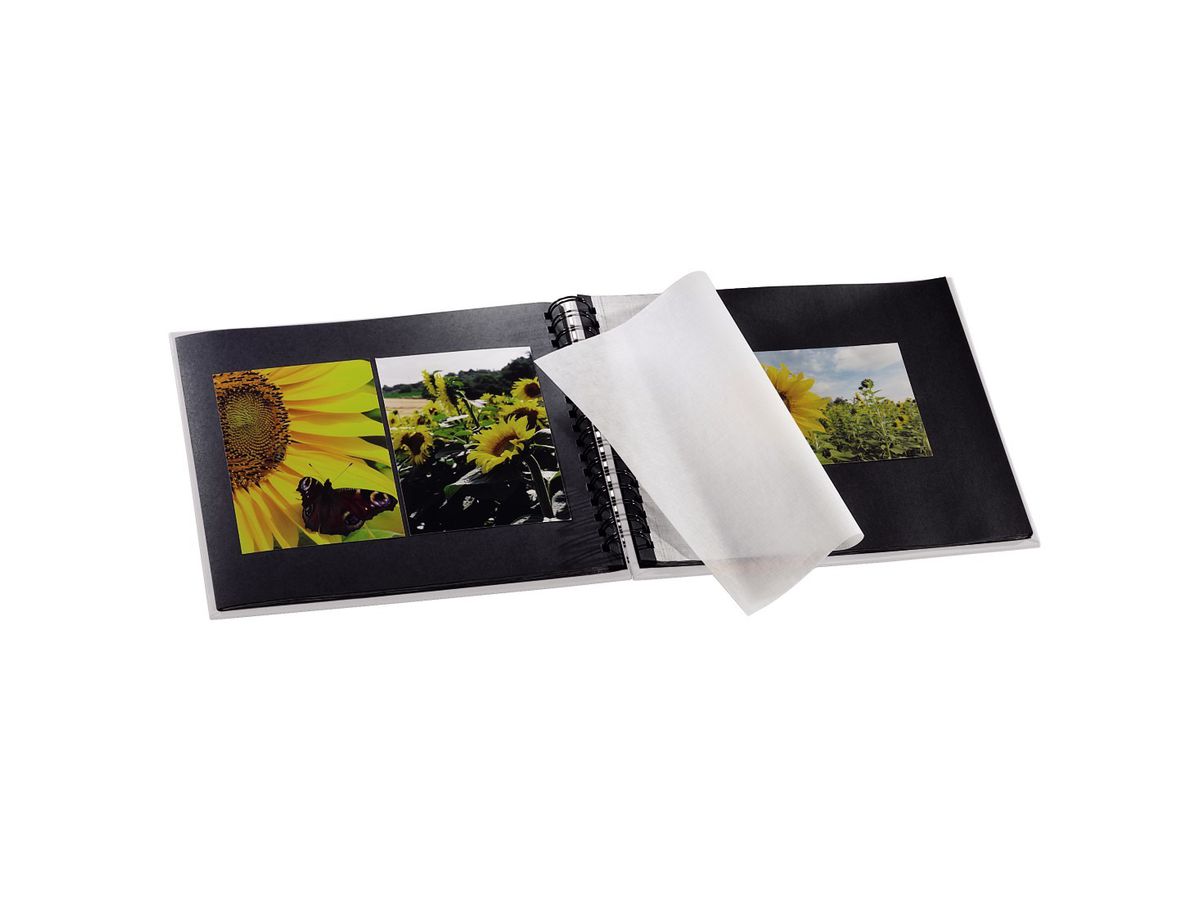 HAMA Album Fine Art 28x24cm 2108 gesso 25 pagine (4007249021083)