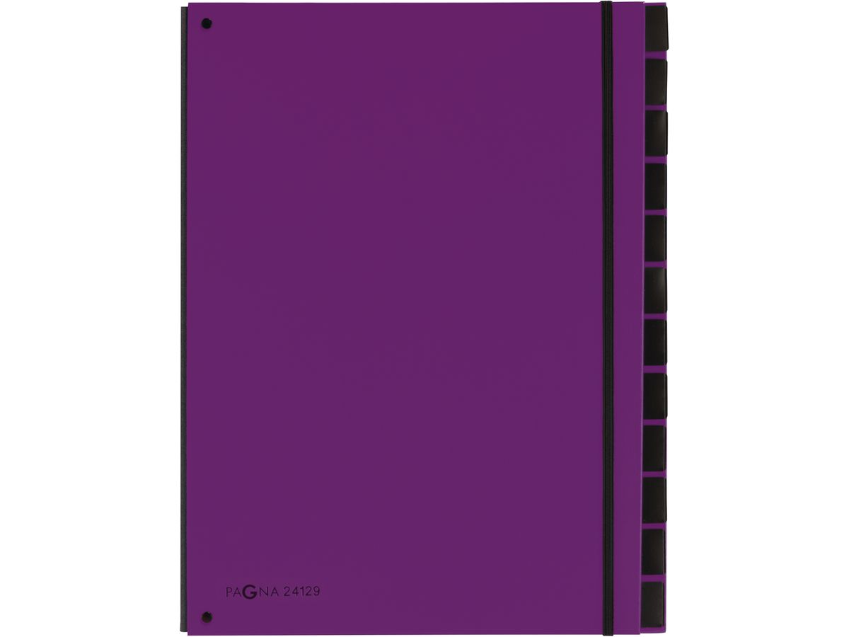 PAGNA Cartella banco Trend A4 24129-12 porpora 12 scomparti (4013951007970)