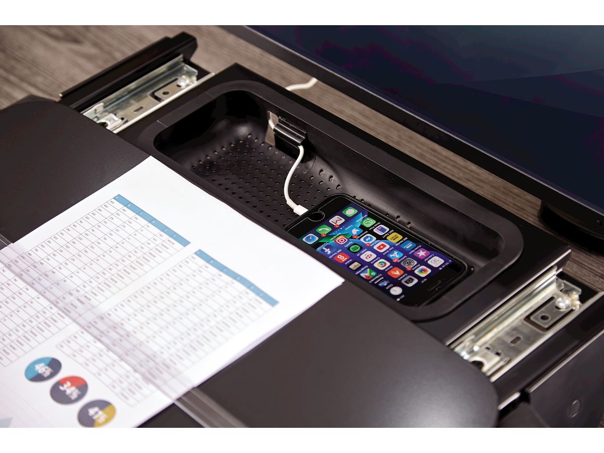 FELLOWES Dokumentenhalter Hana 8055701 schwarz (0043859737000)