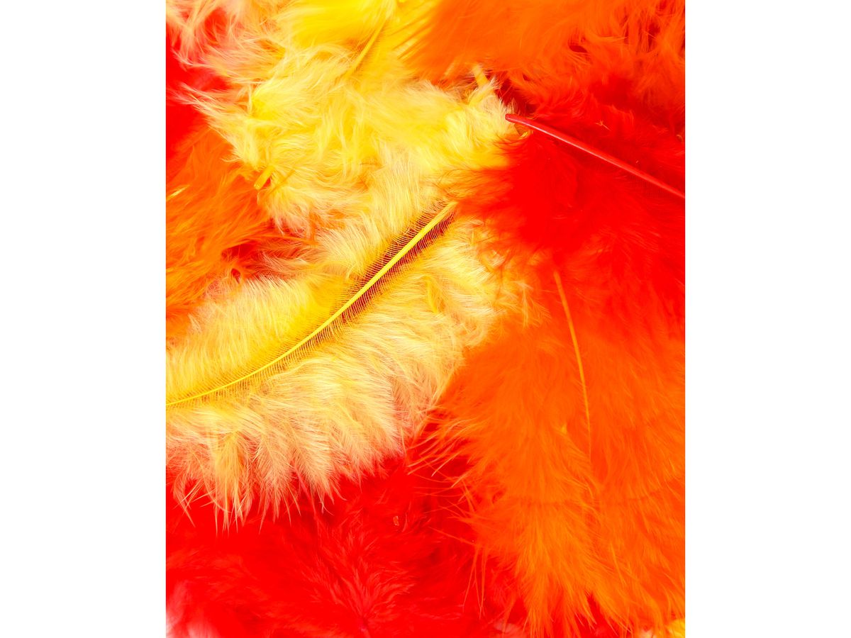 I AM CREATIVE Plumes décoratives 3g 4060.41 Mix 1, 5-8cm (7611983212200)