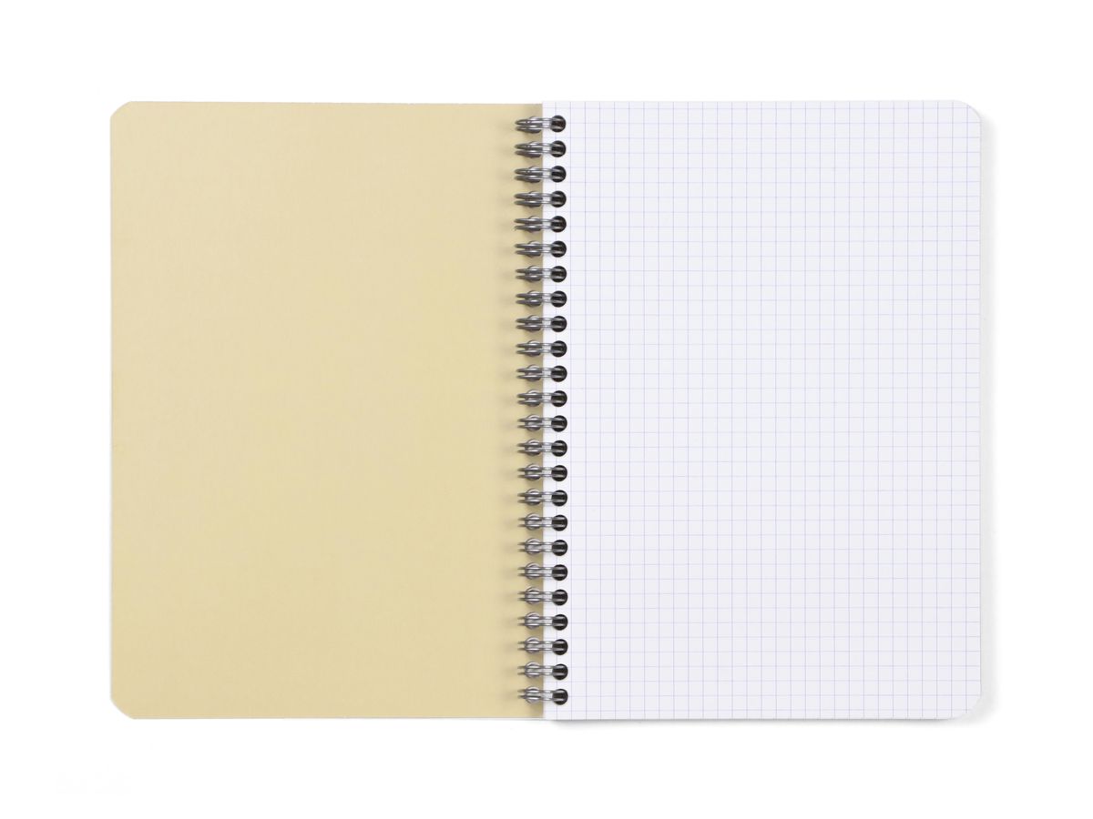 CLAIREFONTAINE Taccuino spirale FOREVER A5 68412C a scacchi, assortiti 60 f. (3210330684123)