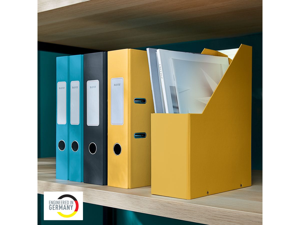 LEITZ Boîte de class.Click&Store 5356-00-19 103x330x253mm jaune (4002432128662)