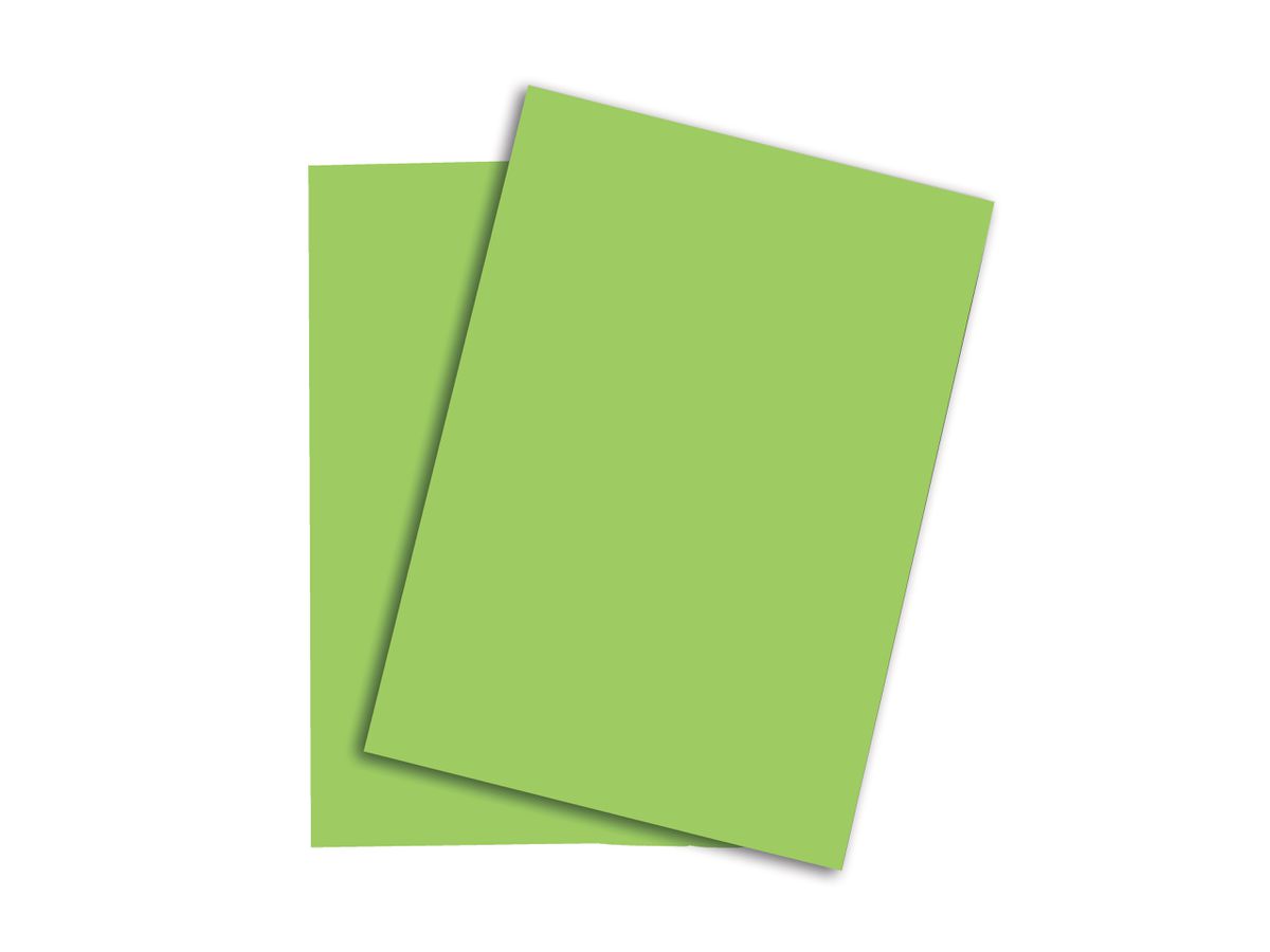 PAPYRUS Rainbow Paper FSC A4 88043140 160g, vert 250 feuilles (7318761044366)
