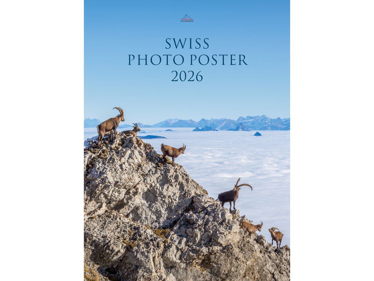CALENDARIA Calendrier 2026 9783036205281 Swiss Photo Poster ML 50x68cm (9783036205281)